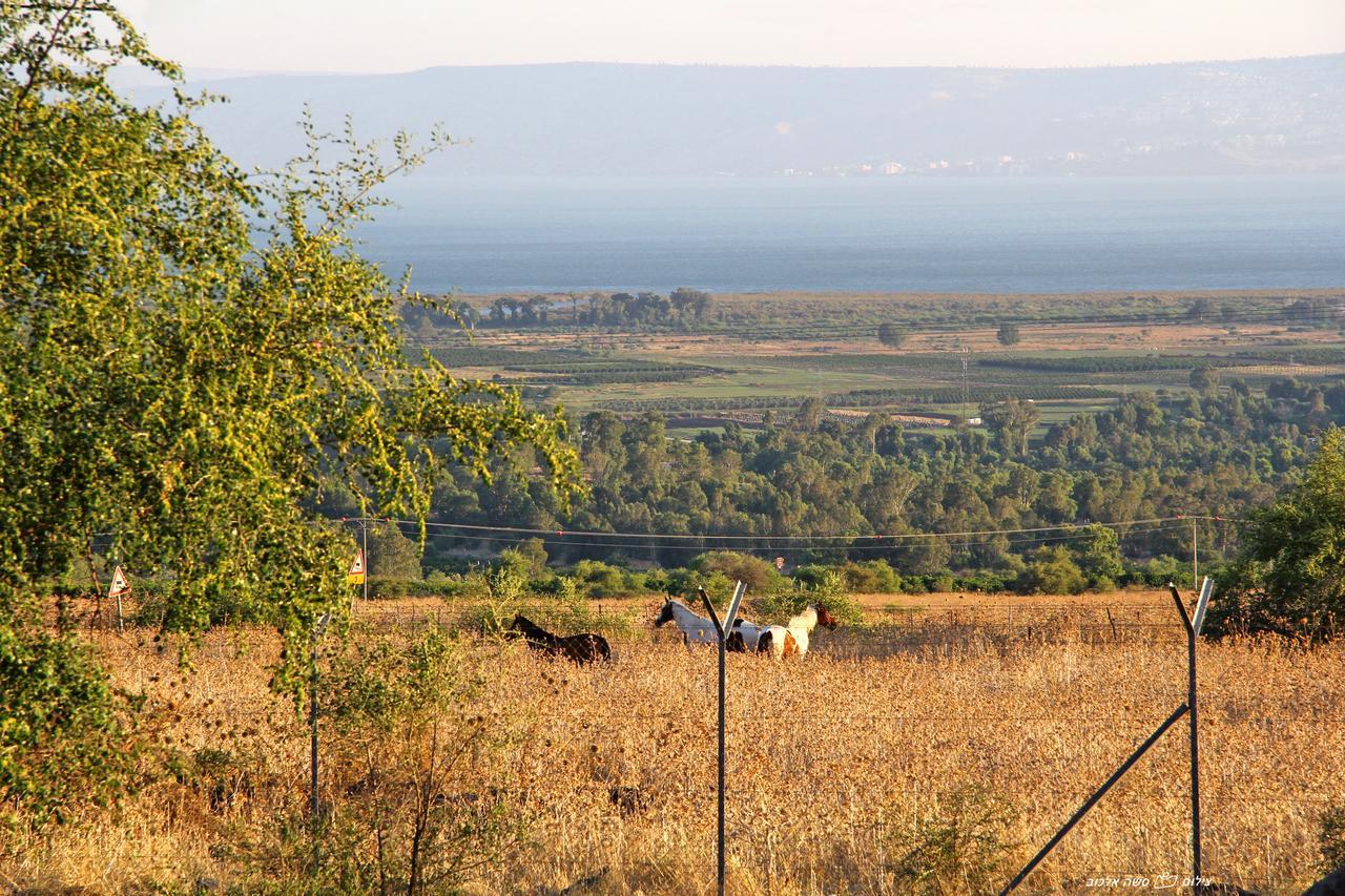 Nof Kinneret Cabins 哈德内斯 外观 照片