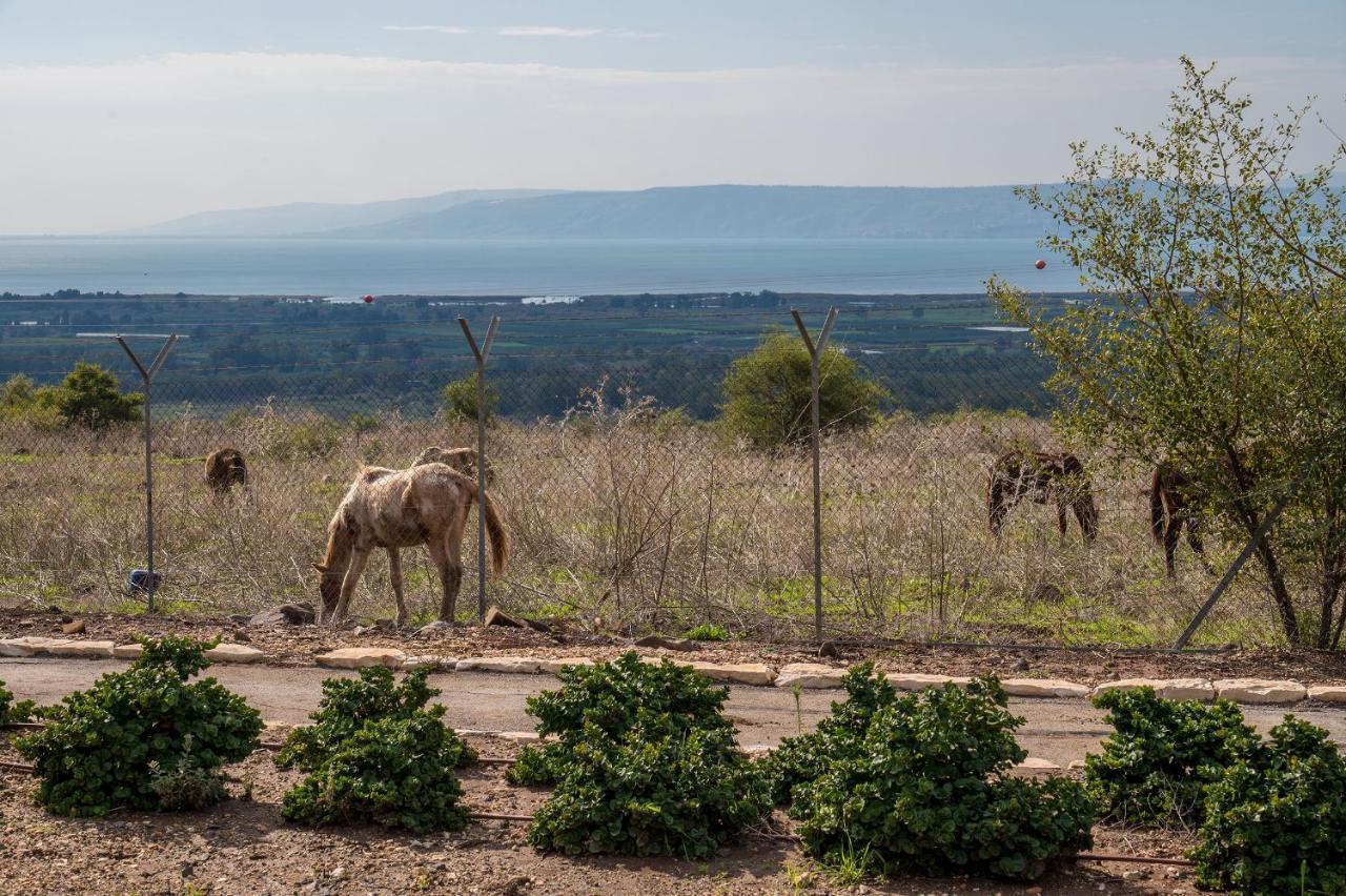 Nof Kinneret Cabins 哈德内斯 外观 照片